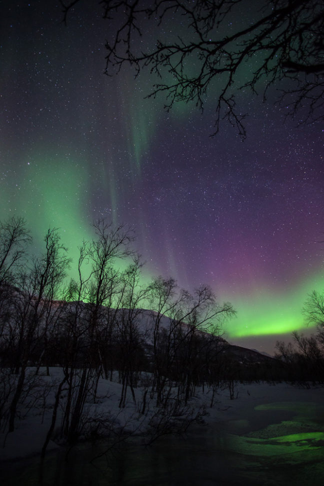 Photo d'aurores boréales bicolores, pourpres et vertes, dans les Alpes de Lyngen, en Norvège.