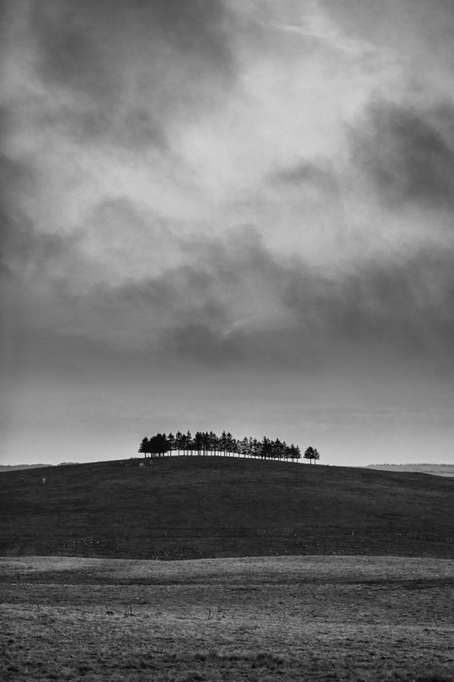 paysage d'Aubrac en noir et blanc pendant un stage photo