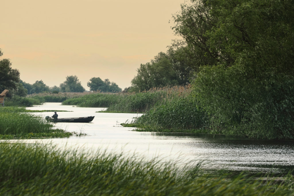 Un oeil sur la Nature | ROUMANIE – Le delta du Danube