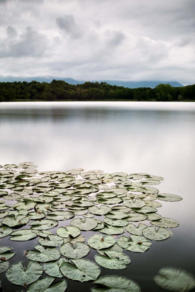 Un oeil sur la Nature | FRANCE – Ambiances aquatiques du Bugey Sud