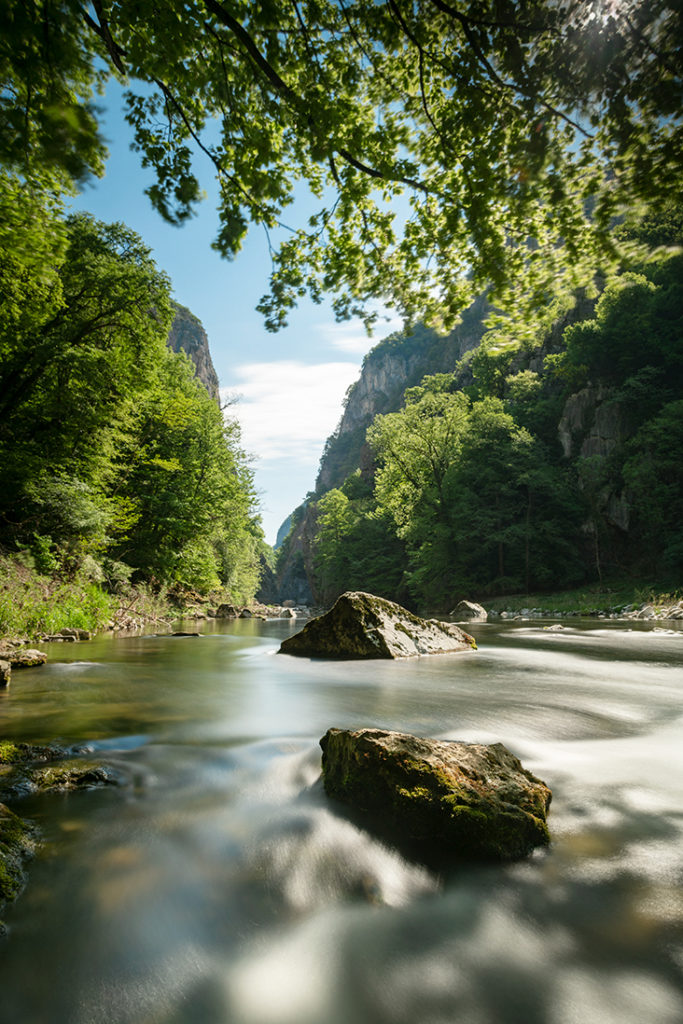 Un oeil sur la Nature | FRANCE – Ambiances aquatiques du Bugey Sud