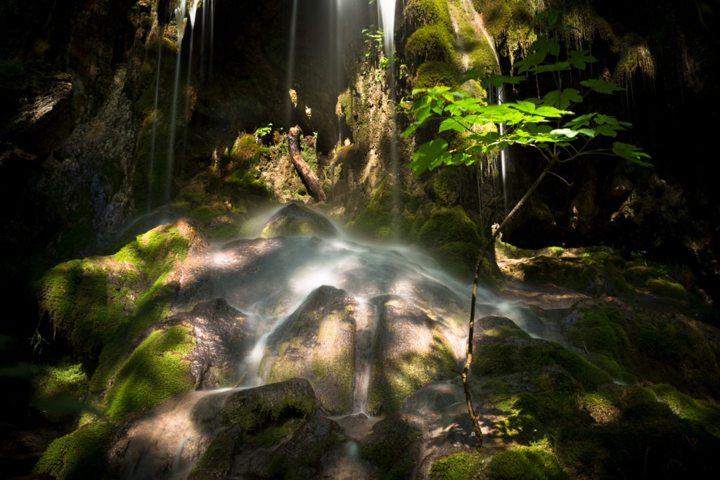 Un oeil sur la Nature | FRANCE – Ambiances aquatiques du Bugey Sud