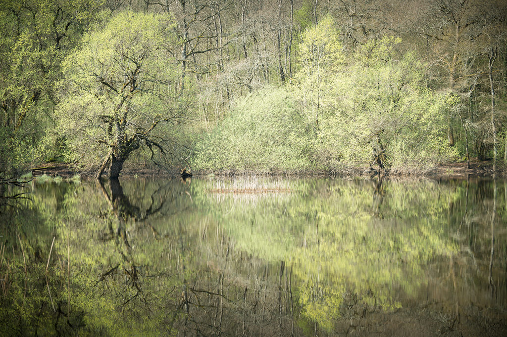 Un oeil sur la Nature | FRANCE – Ambiances aquatiques du Bugey Sud