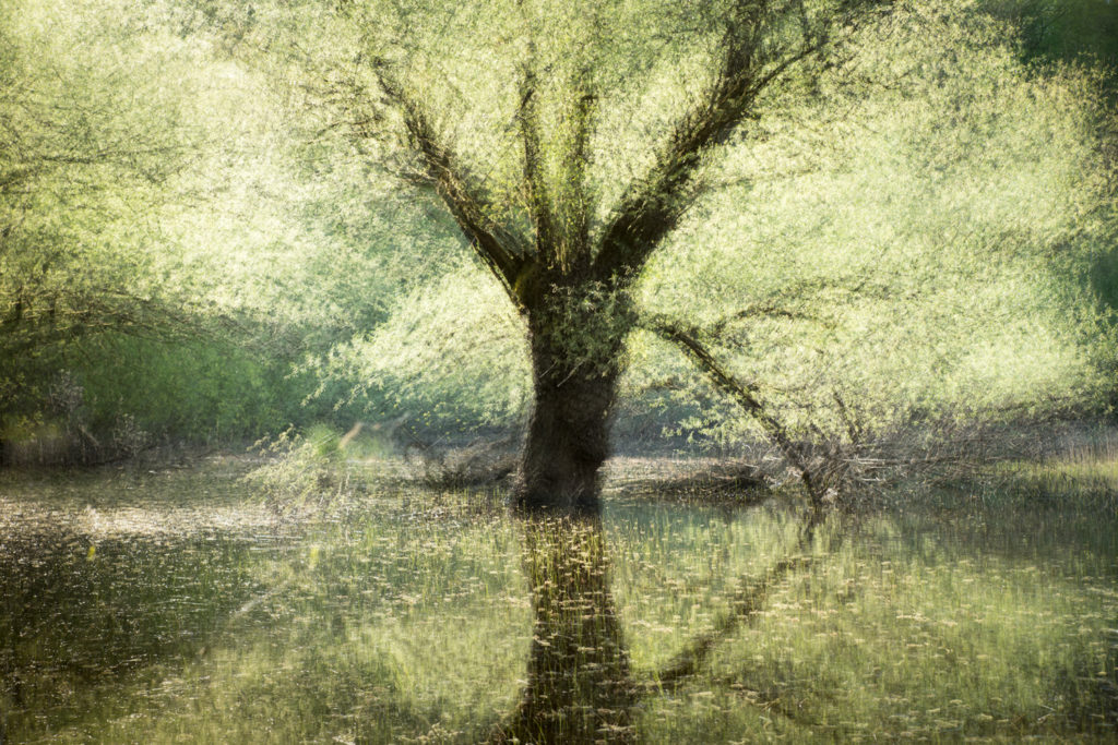 Un oeil sur la Nature | FRANCE – Ambiances aquatiques du Bugey Sud