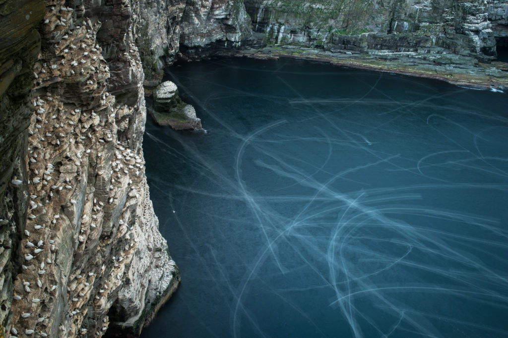 Un oeil sur la Nature | ÎLES SHETLAND –  Oiseaux et paysages marins