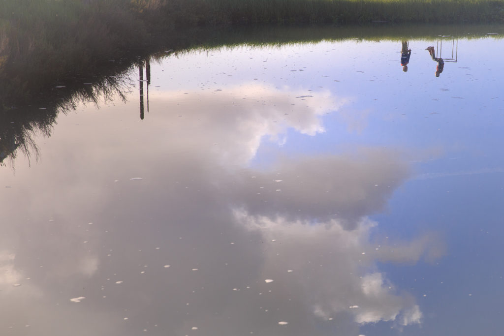 Un oeil sur la Nature | FRANCE – Créativité et projets photo