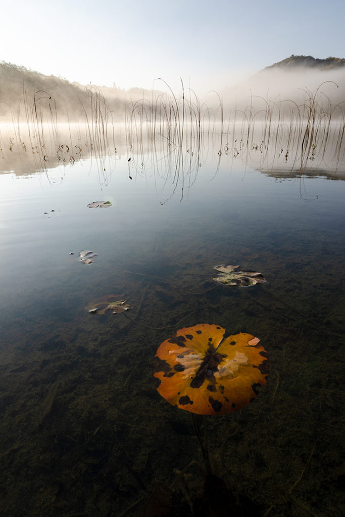 Un oeil sur la Nature | FRANCE – Ambiances aquatiques du Bugey Sud