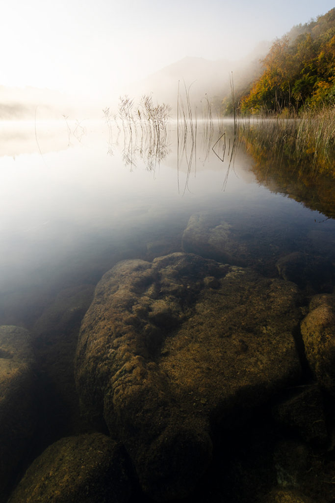 Un oeil sur la Nature | FRANCE – Ambiances aquatiques du Bugey Sud