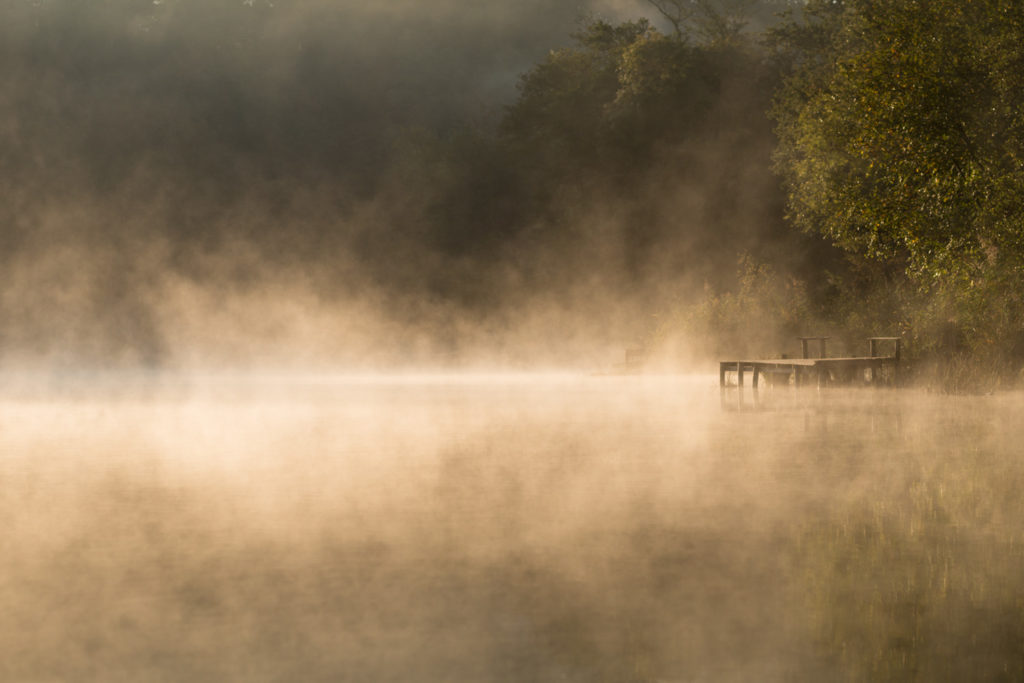 Un oeil sur la Nature | FRANCE – Ambiances aquatiques du Bugey Sud