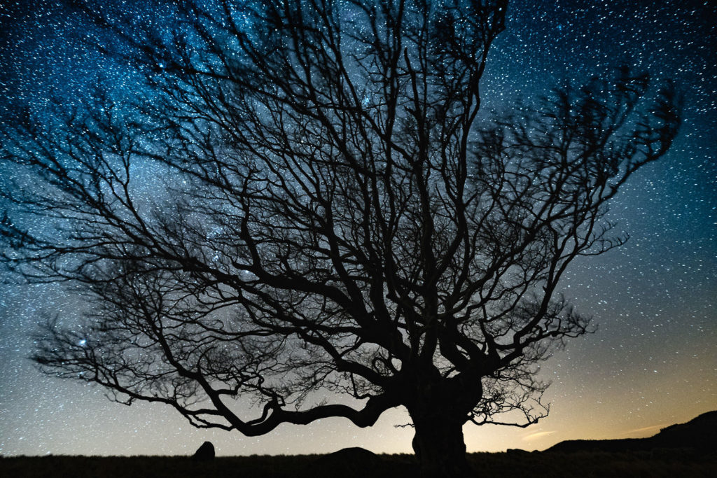 Un oeil sur la Nature | FRANCE – Paysages nocturnes des Cévennes