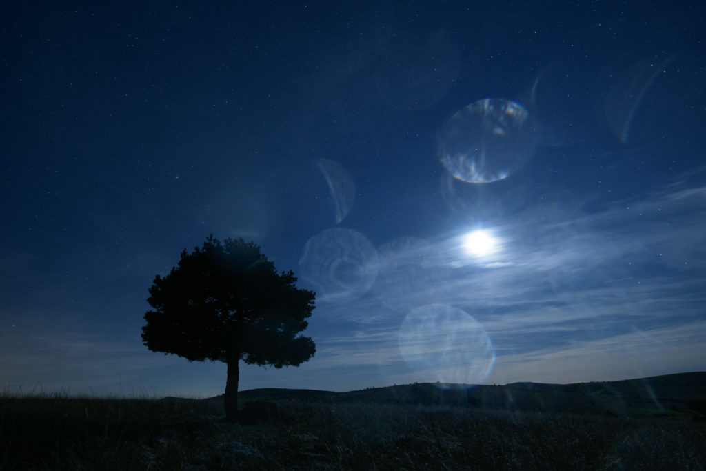 Un oeil sur la Nature | FRANCE – Paysages nocturnes des Cévennes