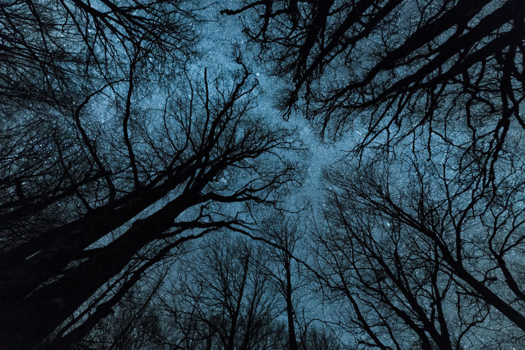 Un oeil sur la Nature | FRANCE – Paysages nocturnes du Larzac