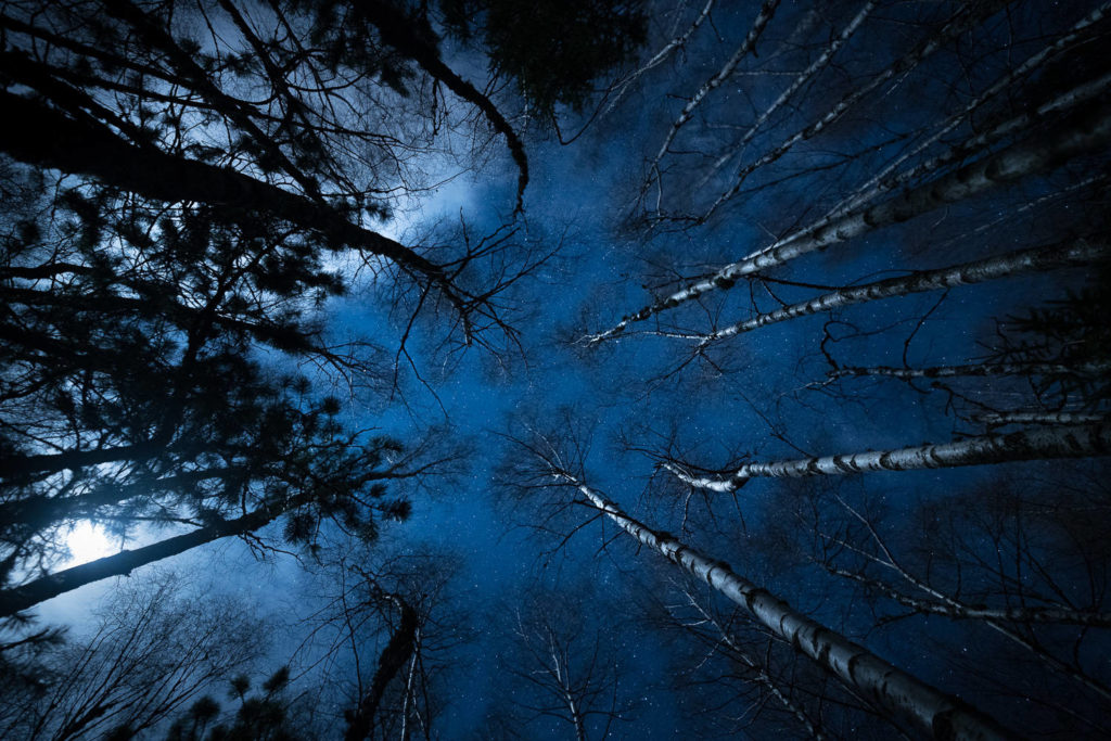 Un oeil sur la Nature | FRANCE – Paysages nocturnes du Larzac