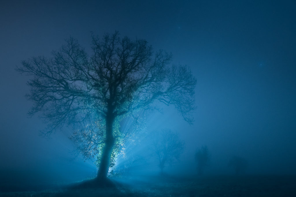 Un oeil sur la Nature | FRANCE – Paysages nocturnes du Larzac