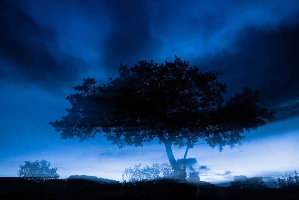 Un oeil sur la Nature | FRANCE – Paysages nocturnes du Larzac