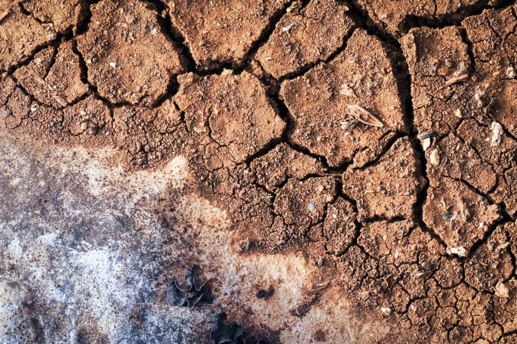 Un oeil sur la Nature | FRANCE – Graphismes en Baronnies