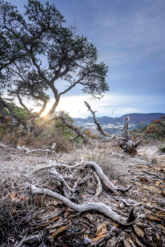 Un oeil sur la Nature | FRANCE – Graphismes en Baronnies