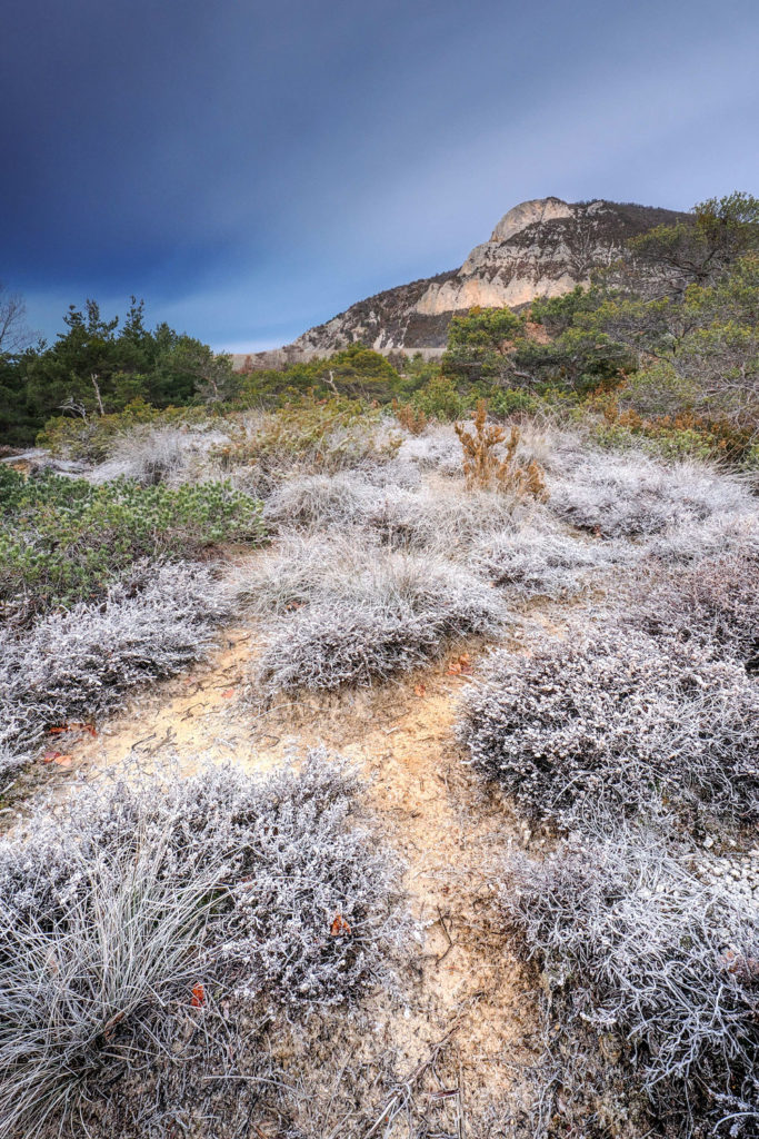 Un oeil sur la Nature | FRANCE – Graphismes en Baronnies