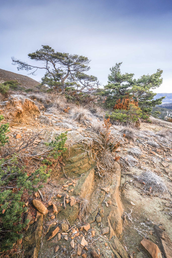 Un oeil sur la Nature | FRANCE – Graphismes en Baronnies