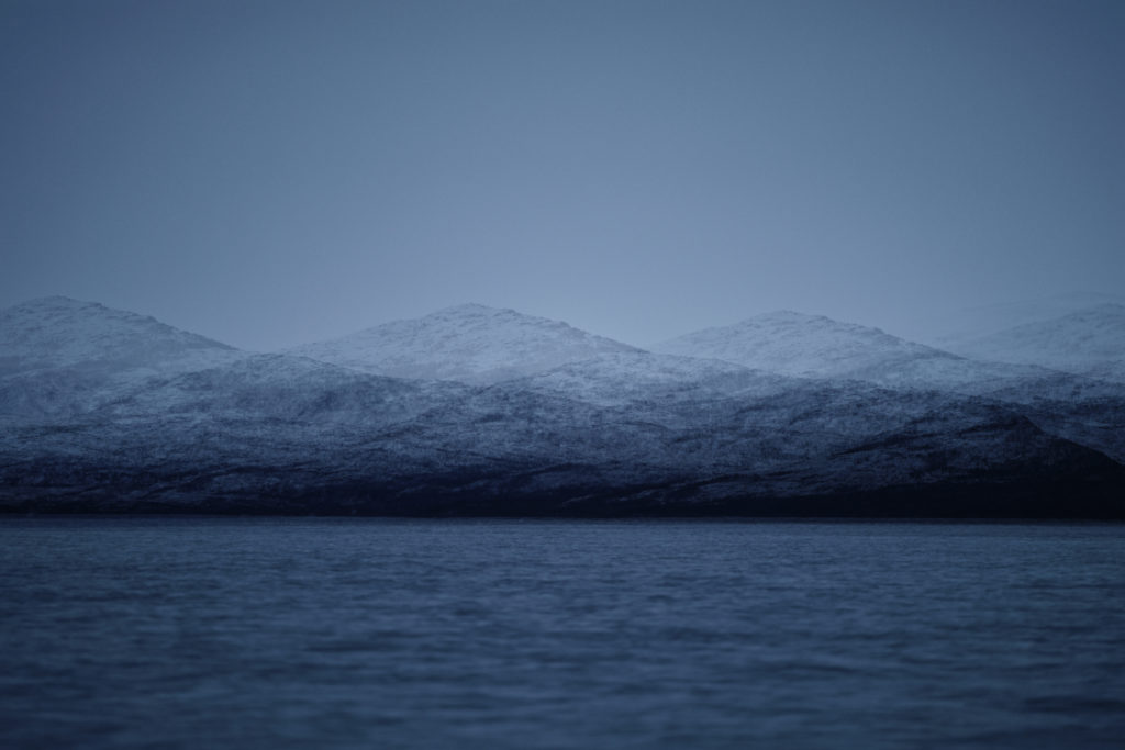 Un oeil sur la Nature | NORVÈGE – Orques en voilier